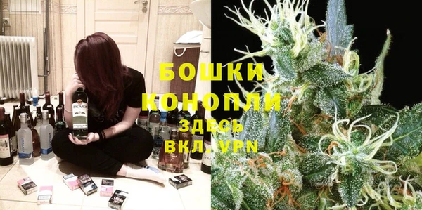 гидропоника Иннополис