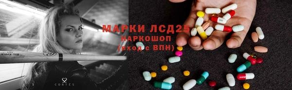гидропоника Иннополис