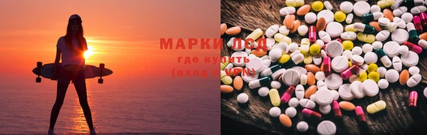 гидропоника Иннополис