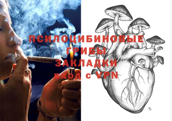 гидропоника Иннополис