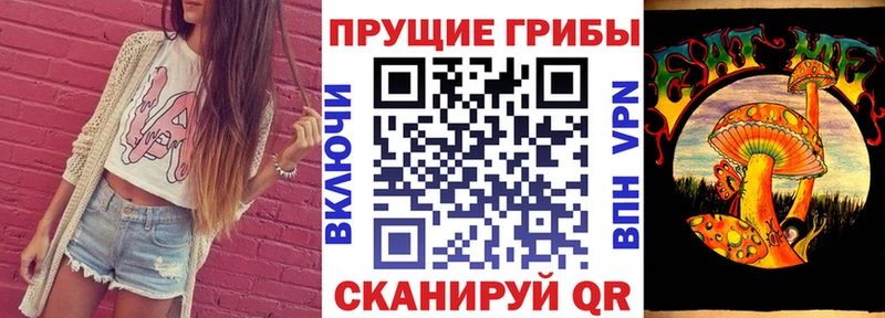 Купить где  Улан-Удэ  Псилоцибиновые грибы Psilocybine cubensis 